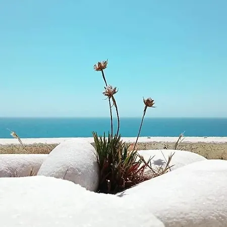 Neptunos - House * Peniche